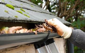 gutter cleaning Holmhill, Dumfries And Galloway