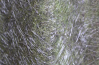 Holmhill fibreglass roof work